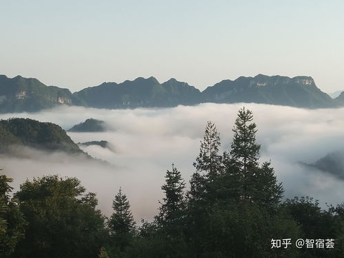 最近去哪里旅游比较好玩 现在去哪旅游最好玩