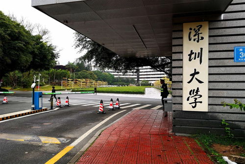 女孩适合在哪个城市读大学 (在哪些城市读大学最好)