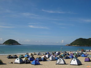 深圳一日游免费必去的地方 (深圳一日游免费景点)