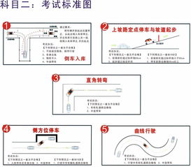 科目一全套口诀 (科目一全套口诀下载)