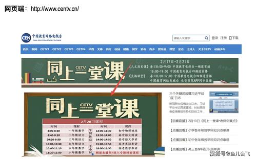 cet.etest.educn报名入口 (cetetesteducn报名入口官网)