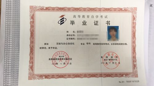 初中学历怎么提升学历啊 (初中学历怎么提升学历啊女生)