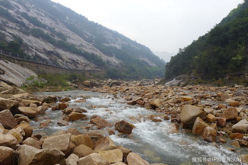 景区卖啥东西最畅销 (景区卖啥东西最畅销除了吃的)