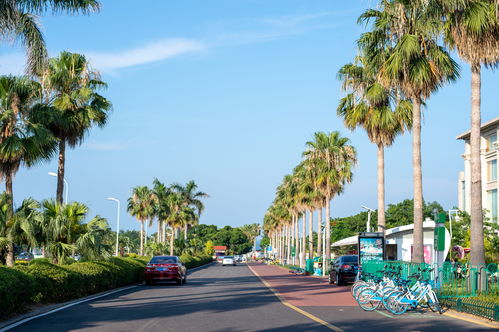 大学不建议去的城市 (大学不建议去的城市有哪些)