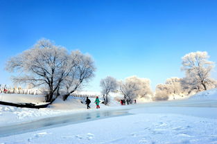 哈尔滨雪乡具体位置 (哈尔滨雪乡在哪?)