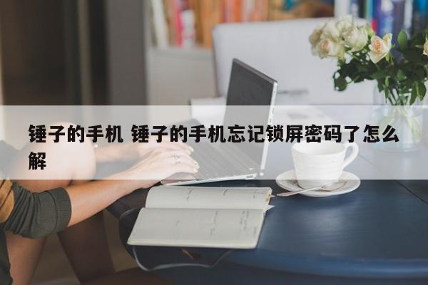 锤子的手机 锤子的手机忘记锁屏密码了怎么解