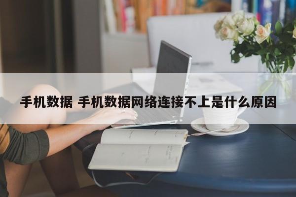 手机数据 手机数据网络连接不上是什么原因