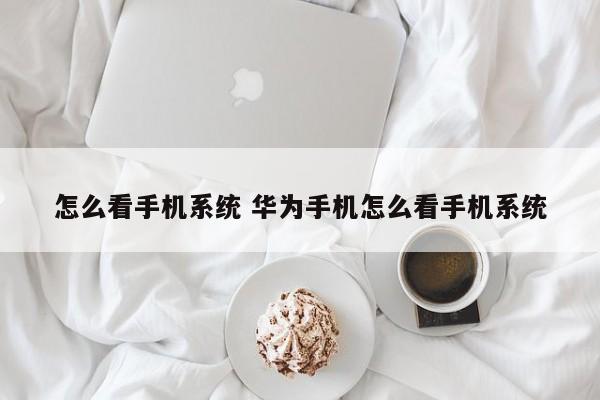 怎么看手机系统 华为手机怎么看手机系统