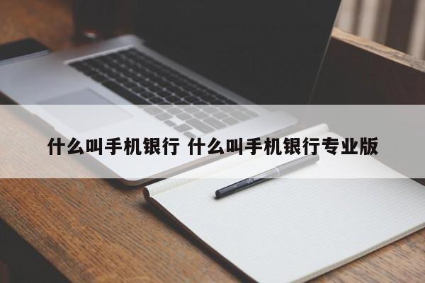 什么叫手机银行 什么叫手机银行专业版