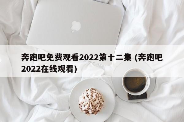 奔跑吧免费观看2022第十二集 (奔跑吧2022在线观看)