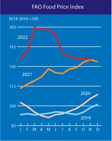 联合国粮农组织：全球粮价指数连续第8个月下降，45国需要额外粮食援助