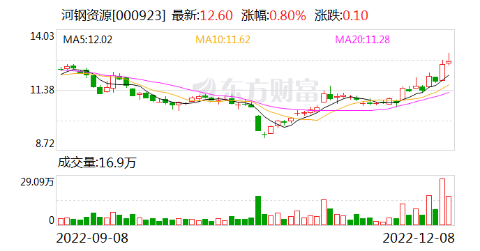 河钢资源：接受上海高毅资产等机构调研