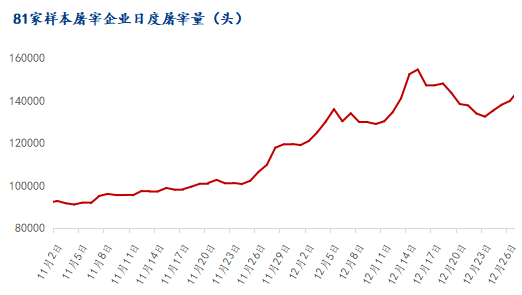 Mysteel解读：猪价罕见二次调涨 养猪人迎来年底红利