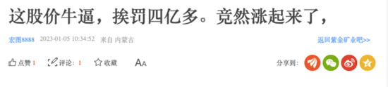 “中国金王”非法采矿被罚4.76亿，去年掏350亿买8个矿