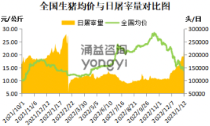 官方救市来了？旺季猪价近乎“腰斩”供需博弈下压力仍存