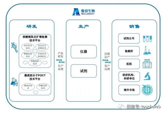 雅睿生物IPO被终止：曾拟募资7.5亿 业绩增长主要靠疫情发展