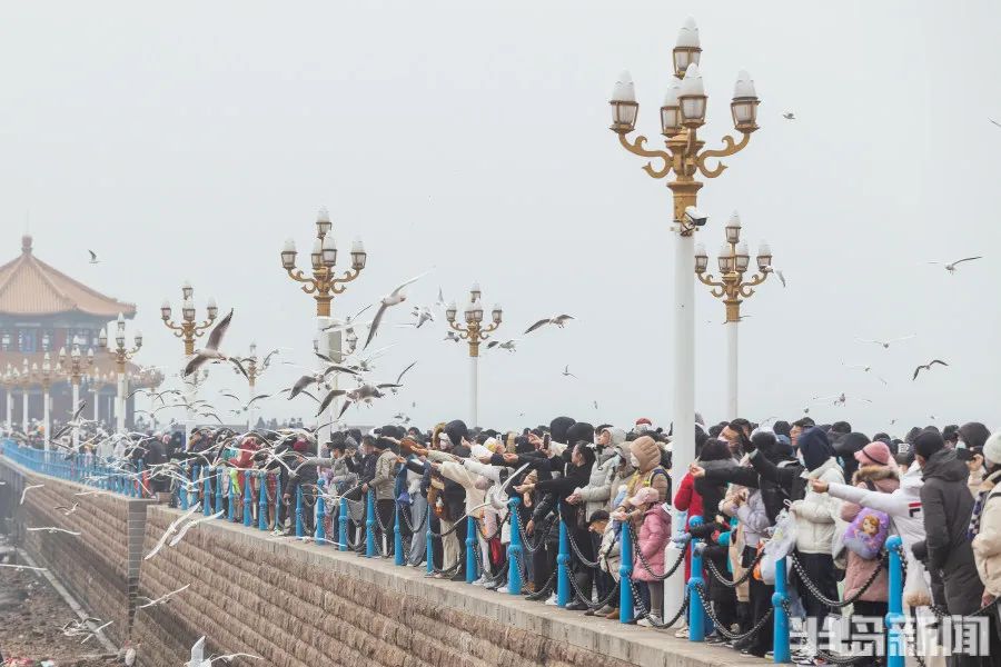 一5A级景区发话：购物不满意,1个月内可全退！全国多地景区已达上限，限流！这里近4万人涌入,导航