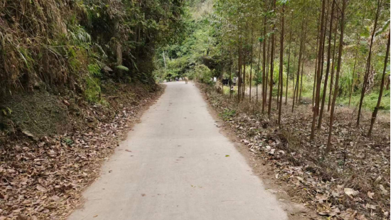 【回乡见闻】逢山开路，遇水架桥：广西小城的道路建设变迁