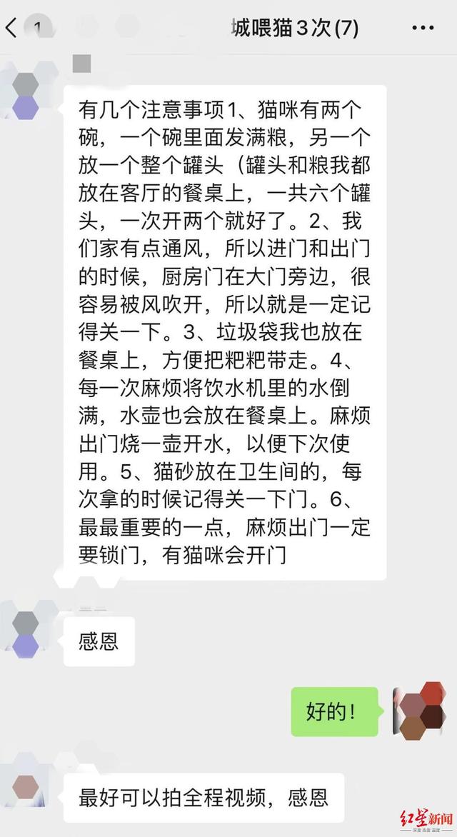 喂猫、养鱼，5天收入上千元！这群爱宠人春节做起上门喂宠业务