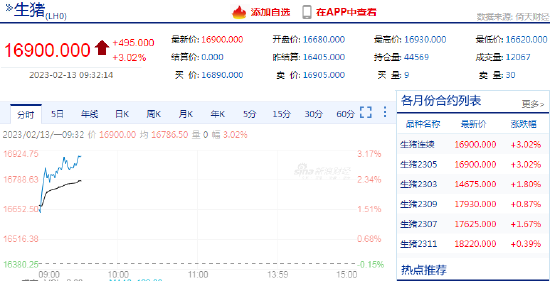 快讯：生猪期货主力合约日内涨超3%