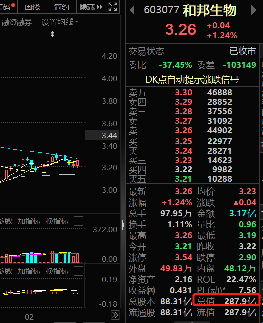 近300亿市值公司董秘因协助调查缺席董事会