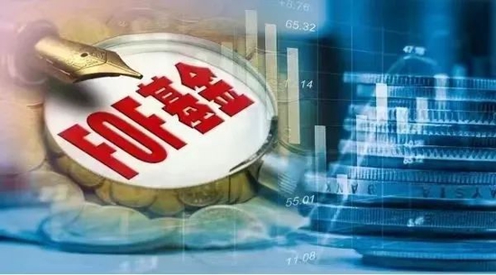 FOF潮流乍现！"基金买手"增配ETF，小众赛道受欢迎