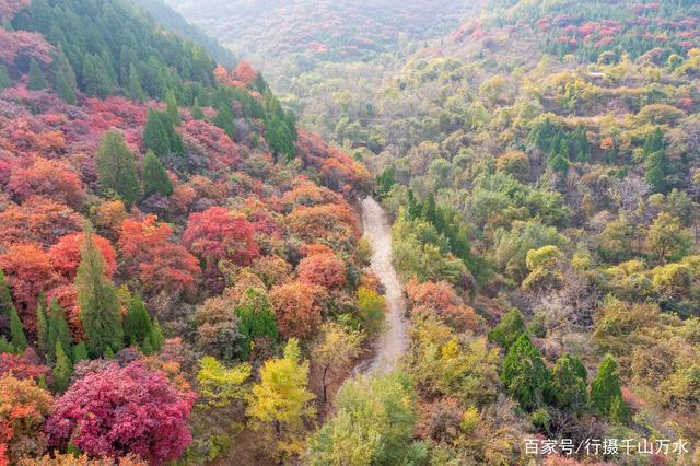 济南南部山区最美的地方 济南南部山区最美的地方是哪里